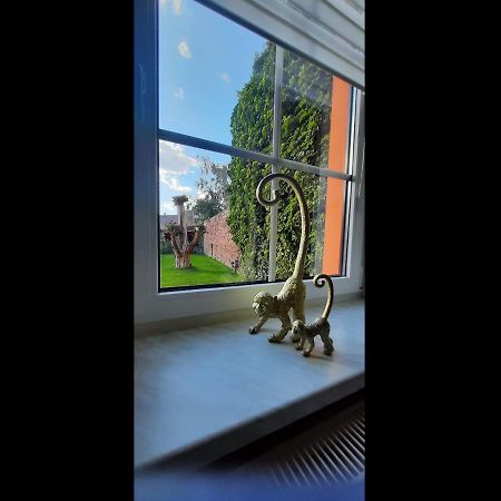 Zur Alten Gurkeneinlegerei Lübbenau Buitenkant foto